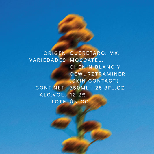 Bouquet de Campo – 750 ml de Vino Naranja